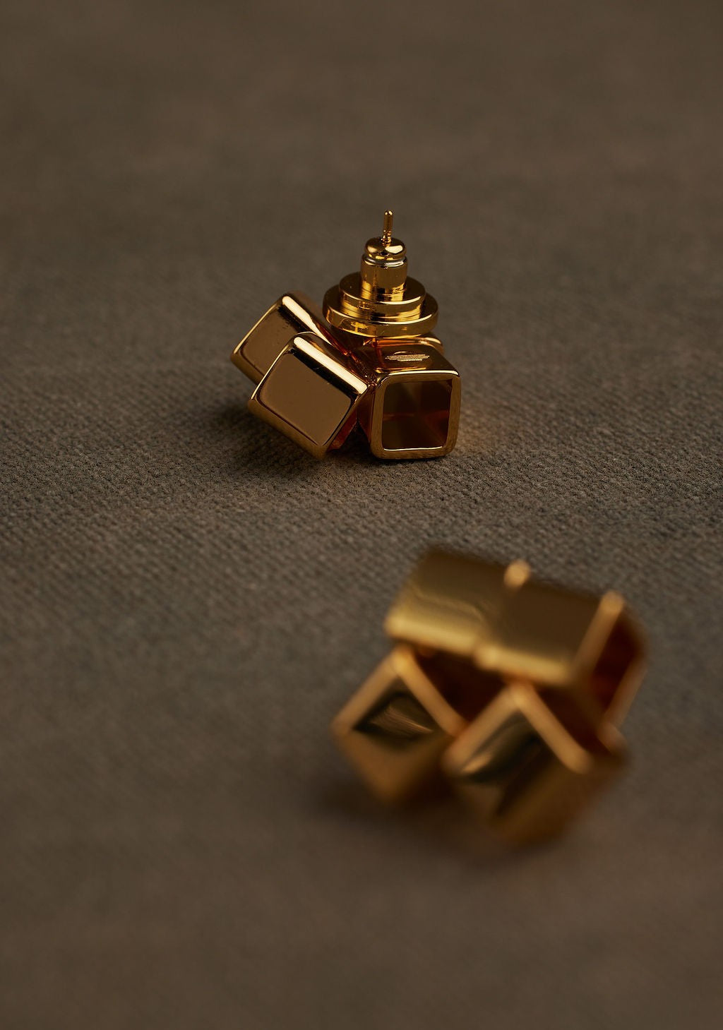ZION Earring